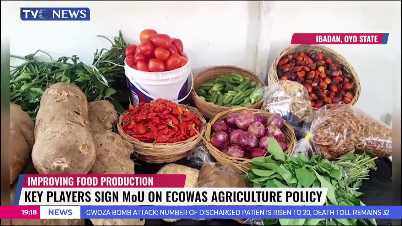 IITA, World Bank Launch Fertiliser, Soil Health Hub To Improve Soil Fertility For Agriculture