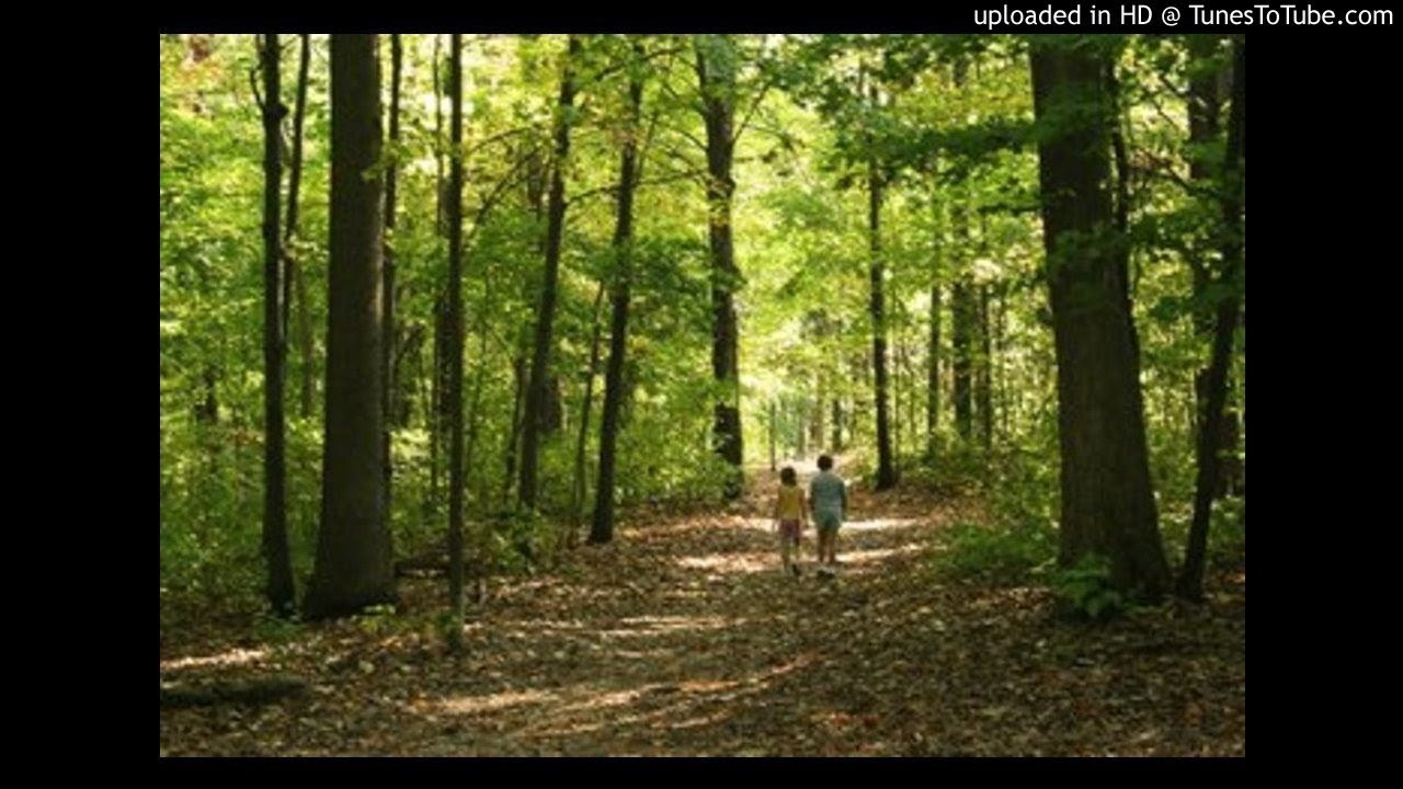 Albert Ketèlby In the Mystic Land of Egypt YouTube