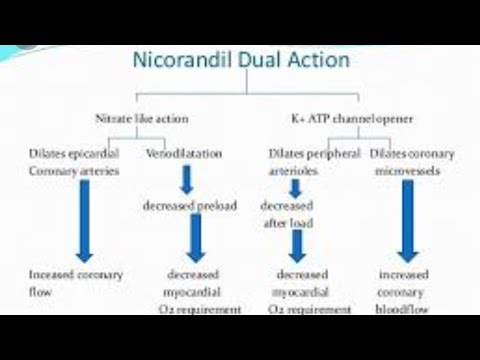 Nicorandil ( Nikoran-10 mg) : Potassium Channel Opener