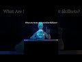 How To Become An AI Generalist