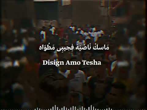 حالات واتس اغانى جديده عمرو القط صبحت ببيع