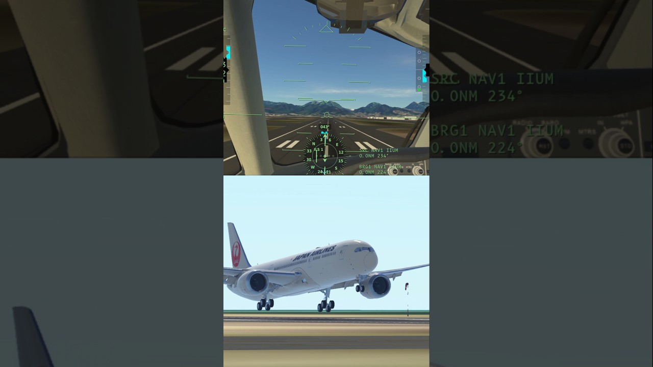 INFINITE FLIGHT | Landing at Honolulu Airport【HNL/PHNL】Japan airlines B789 