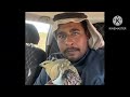 مقناص قطا النغاق بالشمال