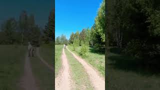 Велопробежка в лес