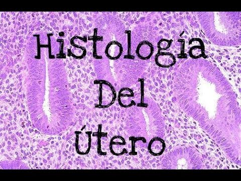 Histologia humana