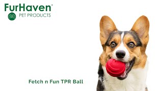 TPR Dog Toy - Fetch n Fun TPR Ball with Squeaker (3 pack) - Furhaven Pet Products by Furhaven Pet Products Inc 29 views 1 year ago 1 minute, 1 second