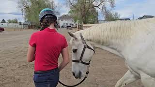 Moonlight Dancer and Kenzie Junior Horse Agility