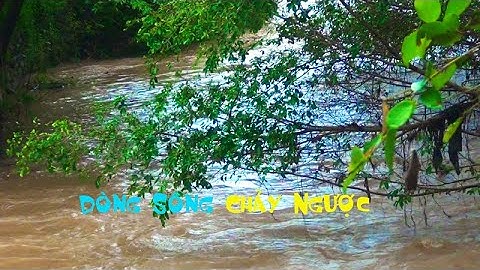 Du Lịch Tây Nguyên / Sông Sêrêpok _ Dòng Sông Chảy Ngược /