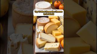Top 10 Most Expensive Cheeses in the World‎🧀 #top10