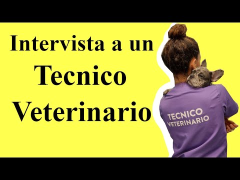 Intervista a un tecnico veterinario