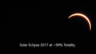 Solar Eclipse Panics Neighbor's Dog