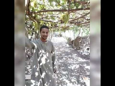 وحشنى يا صاحبى
