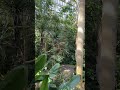 2026/03/15 高知縣立牧野植物園 溫室