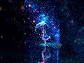 Carol of the bells #englishmusic #music #musicvideos #newmusic #musiclovers #fridayfeels#musicislife