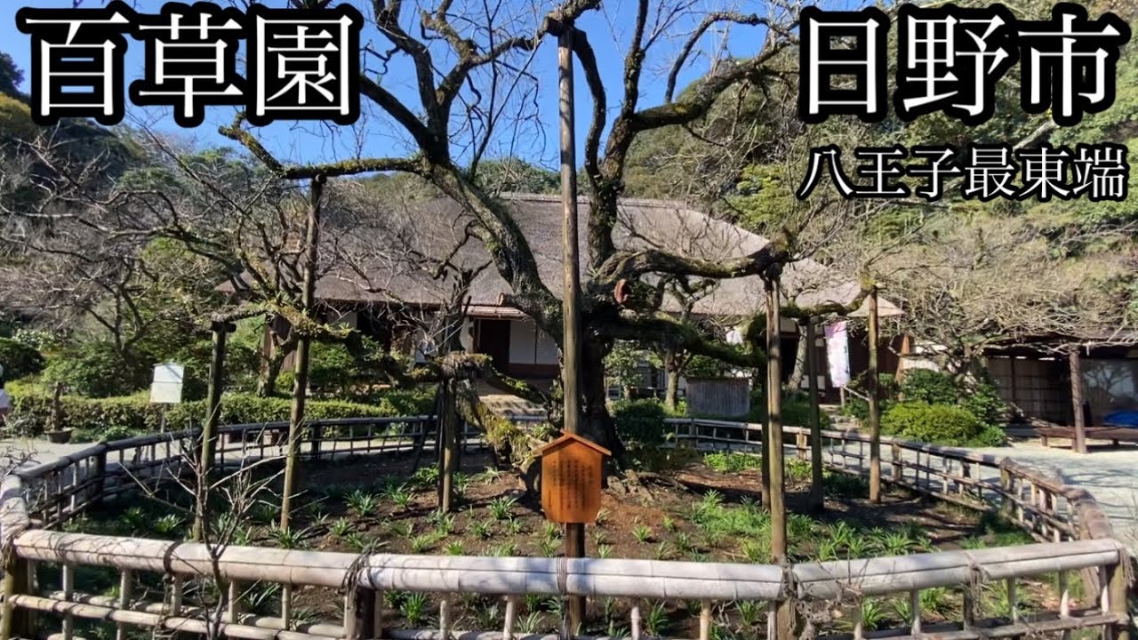 八王子最東端へ、まずは百草園は日野市からはじまります！