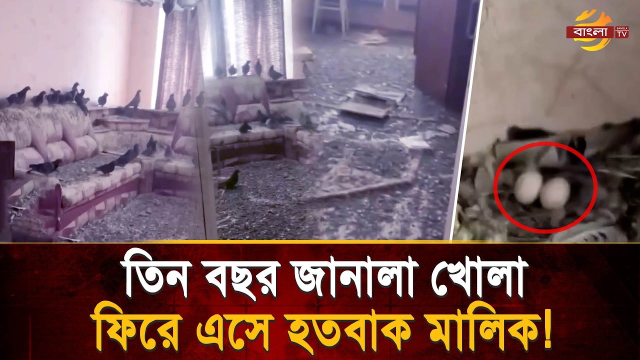 ভুল করে জানালা খোলা রাখায় বড় বিপদ! তিন বছর পর বাড়িতে ফিরে হতবাক মালিক | Bangla TV