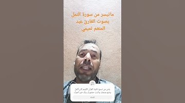 آيات بينات من سورة النمل #تلاوة_خاشعة #القرآن_الكريم