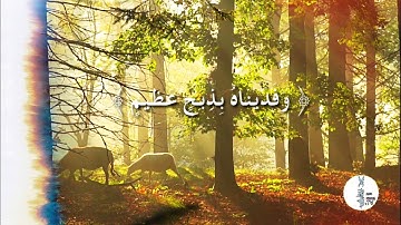 ( وفديناه بذبح عظيم ) - آيات من سورة الصافات