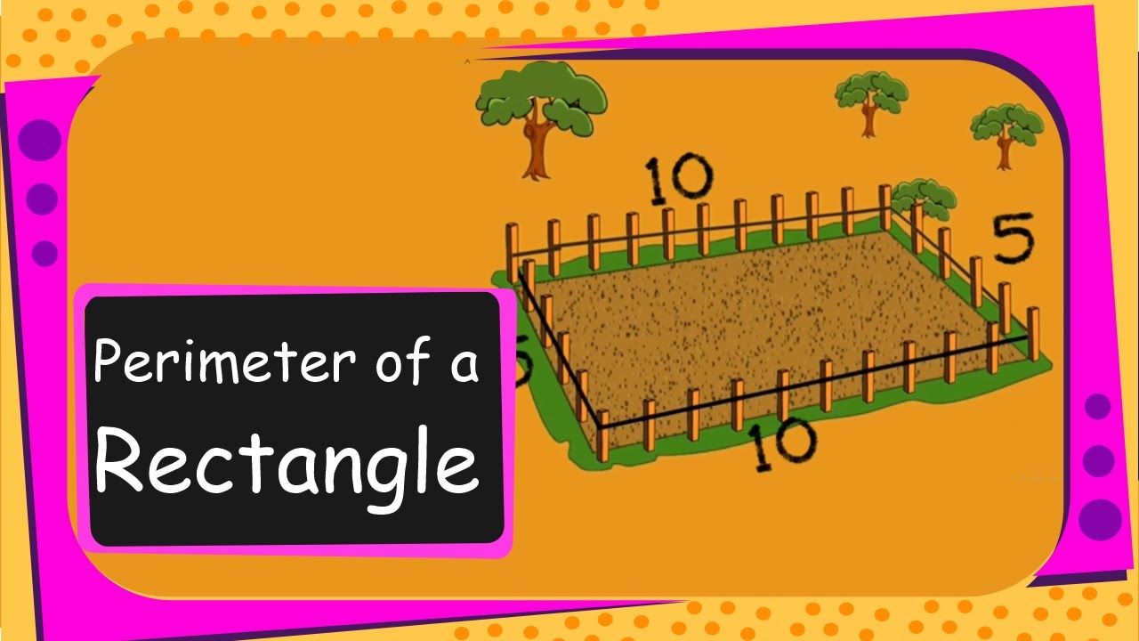 Maths - Perimeter Of A Rectangle - English