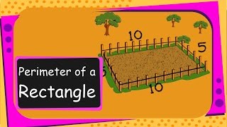 Maths - Perimeter of a Rectangle - English