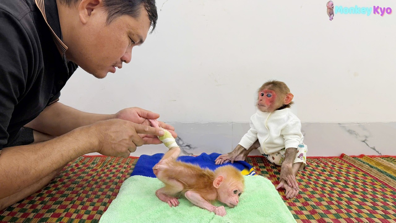 It's amazing! BuNa is recovering — Dad and Kyo couldn’t be happier!
