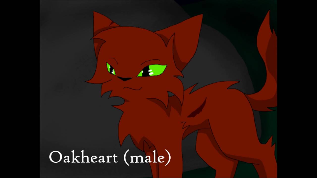Warriors ~Into the Wild~ Casting Call - YouTube