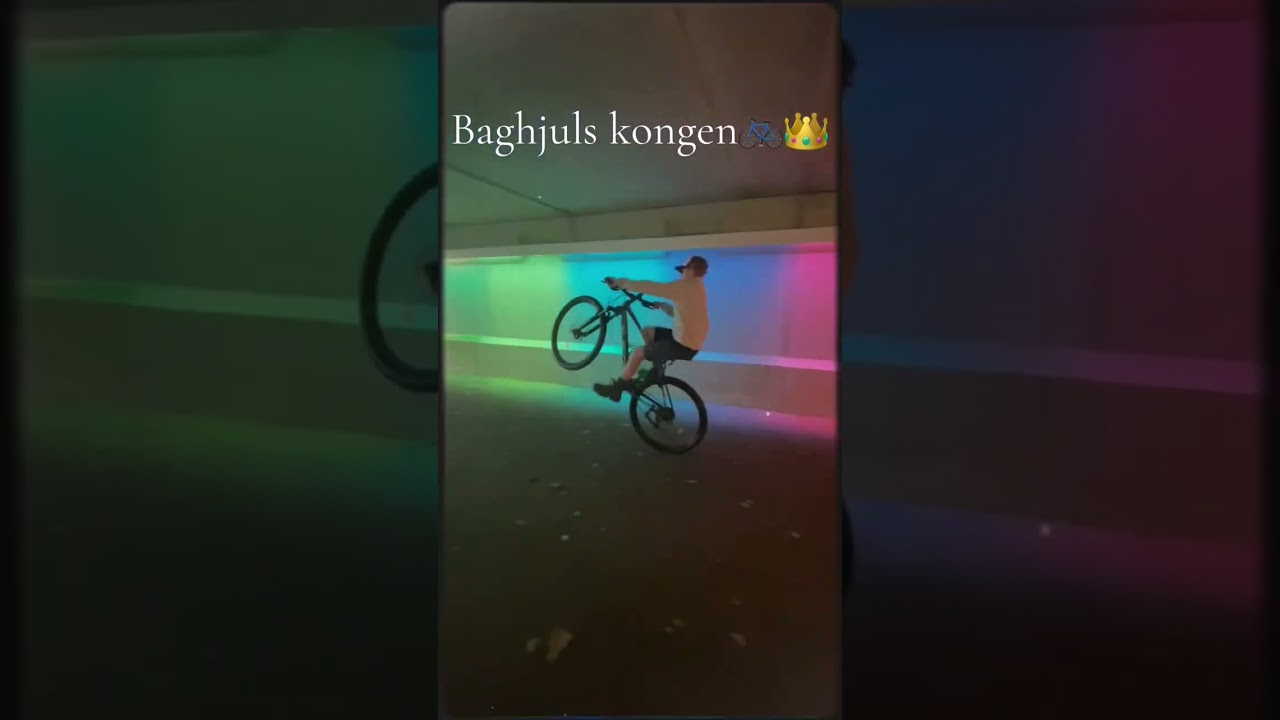 Baghjuls kongen🚲👑 