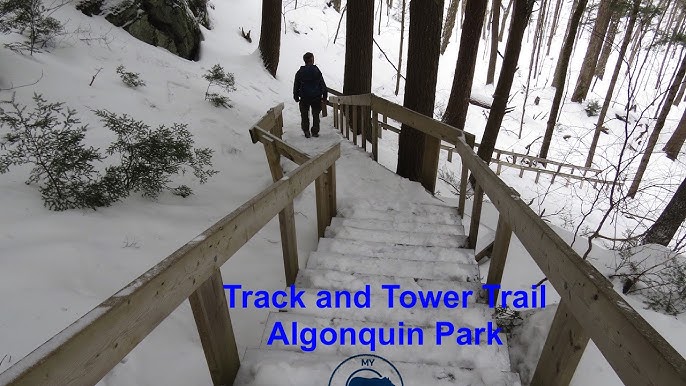 Track And Tower Trail Map Track And Tower Trail, Algonquin Park - Youtube