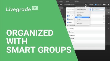 Feature Spotlight - Livegrade: Use smart groups to structure your library