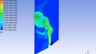 Temperature and Velocity Field from Volcanic Eruption side vent