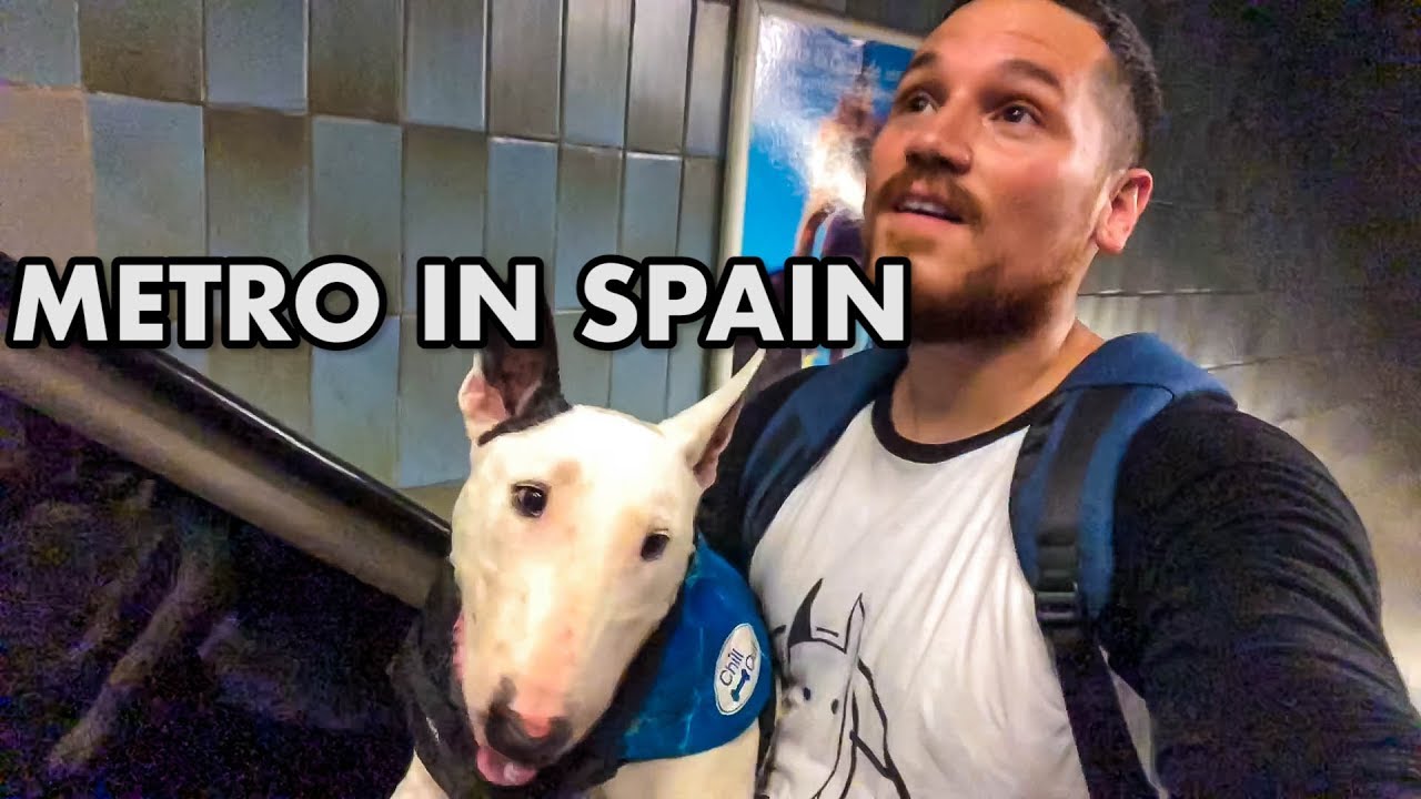 Are Dogs Allowed On The Metro In Spain?