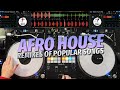 AFRO HOUSE MIX 2024 | #02 | Afro House Remixes of Popular Songs - Mixed by Deejay FDB