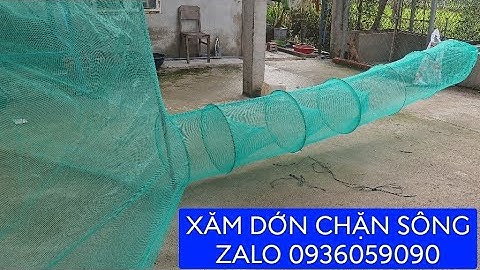 Cung cấp dớn bắt cá. Cung cấp xăm dớn chặn sông. Lú dớn bắt cá. Đuôi chuột bắt cá. Dớn chặn sông.