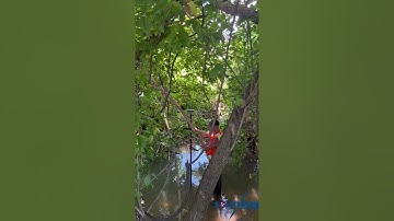 Carlson BRx7 Creek Survey