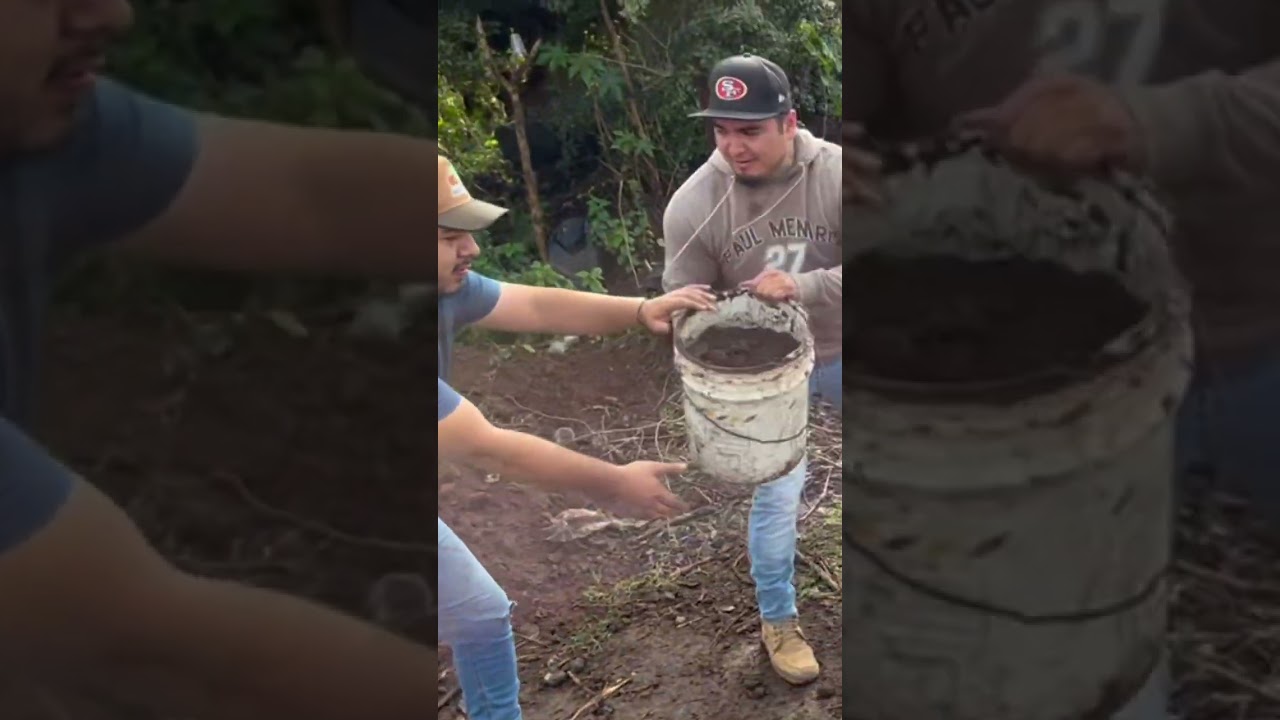 #FaenaBarranca #ComunidadActiva #NaranjaDeTapia #TrabajoConjunto #OrgulloMichoacano