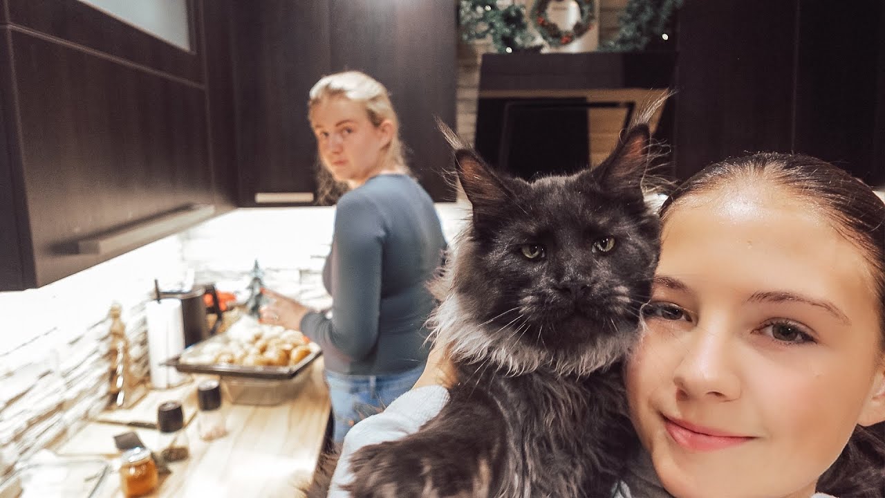 ✨VLOGMAS #11 | 🎁Náš prosincový večer🎄🪵