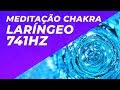 MEDITAÇÃO CHAKRA LARÍNGEO - EXPRESSÃO COMUNICAÇÃO AUTO-CONHECIMENTO - 741HZ