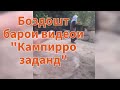 Муаллифи видеои Симиганҷро боздошт кардаанд