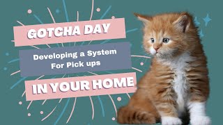 When Your Kittens go Home - Gotcha Day Procedures Made Systematic by Cat Breeder Sensei - Breeding Cats Successfully 86 views 1 year ago 8 minutes, 25 seconds