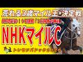 《NHKマイルC》外枠有利な荒れる3歳マイル王決定戦!勝利を掴む馬は!?//全出走馬18頭を見て相馬眼を磨き、勝馬を探す『必須動画』【トレセンパドック2026】