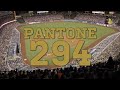 Pantone 294 - ¡FANÁTICOS! with La Vida Baseball