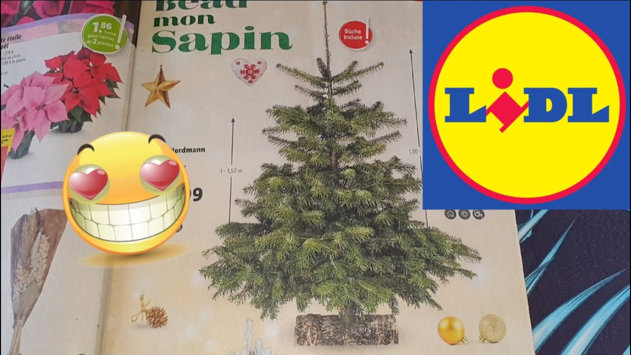 Sitemapcdatahttpdekokniqoocomcatalogue Lidl 16 Novembre 2022