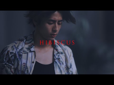 ナオト・インティライミ「ハイビスカス」Music Video