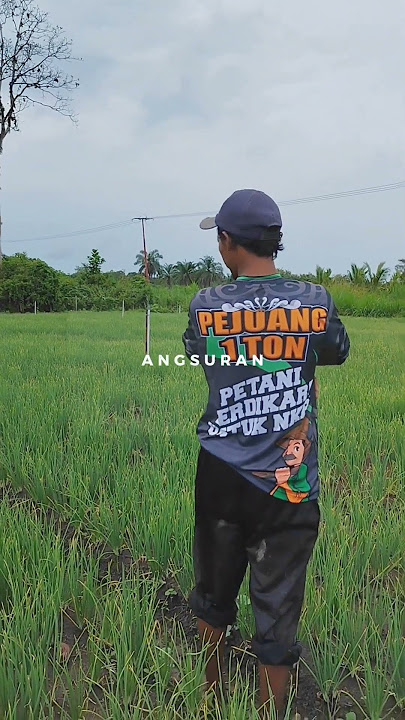 Status WA pejuang rupiah