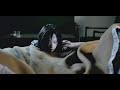 A Haunting Presence sitting on his Shoulder, Uncover Dark Revenge | Movie Explained