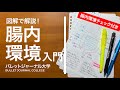 【美肌も免疫力もここから】腸内環境入門