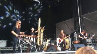 View Violent Femmes Concert Performance of 'Gone Daddy Gone'