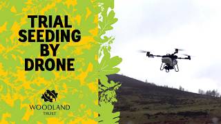 Drone Seeding trial