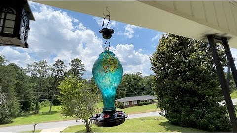 LUJII Hand Blown Glass 36 Fluid Ounces Hummingbird Feeder Demo