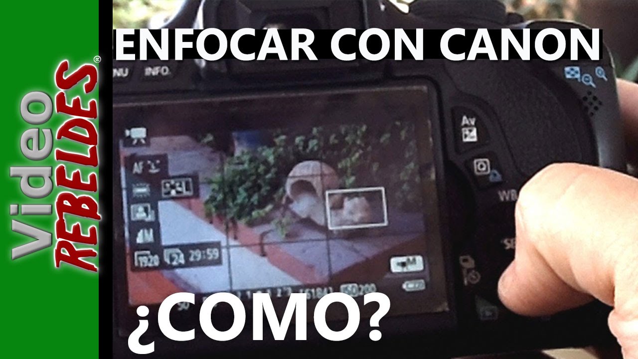 Tip para enfocar mejor el video con las cámaras Canon DSLR? - YouTube